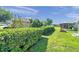 Scenic backyard view with lush green grass and a meticulously maintained hedge row at 4712 Coachmen Rd, New Port Richey, FL 34655