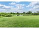 The backyard features a well-manicured lawn with a pond and surrounding trees creating a serene outdoor space at 5522 Appleton Shore Dr, Apollo Beach, FL 33572