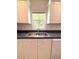 The kitchen features a double stainless steel sink underneath a bright window at 5644 Samter Ct, Tampa, FL 33611