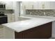 Modern kitchen boasts white quartz countertops, stainless appliances, and custom backsplash at 814 W 131St Ave, Tampa, FL 33612