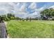 Expansive backyard featuring lush green grass, mature trees, and a serene pond view at 9126 Cypress Keep Ln, Odessa, FL 33556