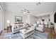 Bright living room features modern furnishings, ceiling fan, and a stylish blue area rug at 10208 Westpark Preserve Blvd, Tampa, FL 33625