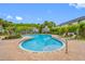 Resort-style pool with lounge chairs and tropical landscaping creating a relaxing and luxurious outdoor space at 10208 Westpark Preserve Blvd, Tampa, FL 33625
