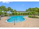Beautiful outdoor pool area with lush tropical landscaping and plenty of space for relaxation and recreation at 10208 Westpark Preserve Blvd, Tampa, FL 33625