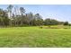 Expansive green backyard featuring a tranquil pond and lush trees, offering a serene outdoor retreat at 10701 Morning Dew Way, Tampa, FL 33647