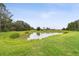 Scenic view of the tranquil pond on this property, surrounded by lush greenery and mature trees at 10701 Morning Dew Way, Tampa, FL 33647