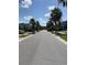 Neighborhood street view with houses and palm trees lining the paved road and manicured lawns at 12215 Blue Pacific Dr, Riverview, FL 33579