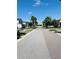 Neighborhood street lined with well-maintained homes, palm trees, and manicured lawns on a sunny day at 12215 Blue Pacific Dr, Riverview, FL 33579
