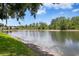 Scenic pond view with lush green grass and mature trees create a tranquil backdrop at 17807 Arbor Greene Dr, Tampa, FL 33647