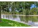 Scenic pond view with lush green grass and mature trees create a tranquil backdrop at 17807 Arbor Greene Dr, Tampa, FL 33647