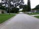 Quiet residential street lined with lush green lawns and mature trees, perfect for peaceful living at 2239 Curtis S Dr, Clearwater, FL 33764