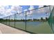 The community features tennis courts with green fencing and professional lighting at 4745 Trout River Xing, Ellenton, FL 34222