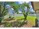 Expansive backyard featuring lush green grass and a privacy fence, perfect for outdoor activities at 4911 Bartelt Rd, Holiday, FL 34690