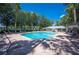 Community pool with shade structure and lounge seating at 5102 Pheasant Woods Dr, Lutz, FL 33558