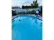 Backyard in-ground swimming pool with clear blue water, basketball hoop and floater toys at 5106 Town N Country Blvd, Tampa, FL 33615