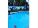 Sparkling blue swimming pool with umbrellas, greenery, and fence for privacy at 5106 Town N Country Blvd, Tampa, FL 33615