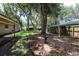 Backyard featuring green grass, beautiful landscaping, and mature shade trees at 616 Pawn Way, Seffner, FL 33584