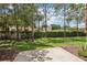 View of shady backyard with a concrete slab, green grass, hedges, trees, and blue sky with clouds at 7001 Interbay Blvd # 203, Tampa, FL 33616