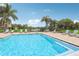 View of community pool with palm trees, lounge chairs, and a lake in the background at 7001 Interbay Blvd # 203, Tampa, FL 33616