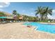 Community swimming pool with lounge chairs, palm trees, and several residential buildings in the background at 7001 Interbay Blvd # 203, Tampa, FL 33616