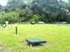 Well-maintained dog park with agility equipment, benches, and lush greenery for community pets at 7405 French Marigold Ave, Tampa, FL 33619