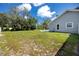 Spacious backyard with lush green grass and mature trees offers ample space for outdoor activities at 11203 Egret Nest Ct, Riverview, FL 33569