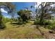 Expansive backyard with mature trees and lush greenery provides a serene and private outdoor space at 11203 Egret Nest Ct, Riverview, FL 33569