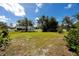 View of the house and backyard showing mature trees and lush greenery at 11203 Egret Nest Ct, Riverview, FL 33569