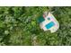 Aerial view of a community pool with a hot tub and ample lounging space, surrounded by trees at 11501 Cerca Del Rio Pl, Temple Terrace, FL 33617