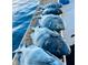 Freshly caught fish lined up on a boat deck at 18093 Ohara Dr, Port Charlotte, FL 33948
