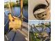 Collection of freshly caught local fish at 18093 Ohara Dr, Port Charlotte, FL 33948