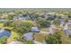 Aerial view of a home and neighborhood, highlighting the lush landscaping, and a nearby pond at 23067 Brighton Pl, Land O Lakes, FL 34639