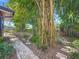 A tranquil backyard with winding brick paths, lush tropical plants, and towering bamboo at 3354 52Nd N St, St Petersburg, FL 33703