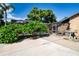 Secluded backyard space with pool enclosure, flourishing foliage, and a paved patio at 4205 Helene Pl, Valrico, FL 33594
