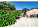Backyard view featuring pool enclosure, greenery, and a convenient outdoor utility area at 4205 Helene Pl, Valrico, FL 33594