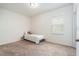 Bright bedroom featuring a single bed, neutral carpet, and a sunlit window at 5521 Yellowfin Ct, New Port Richey, FL 34652