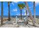 Peaceful beach scene with benches nestled between lush palm trees, offering tranquil water views at 6186 Seaside Dr, New Port Richey, FL 34652