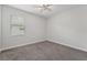 Clean bedroom with carpet, a ceiling fan, a window, and light gray walls at 6706 Riverside Bluffs Dr, Riverview, FL 33578