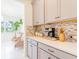 Kitchen countertop with stainless steel coffee maker and decorative backsplash tiles at 7700 Bronze Oak Dr, Wesley Chapel, FL 33545