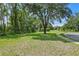 Green grassy yard with mature trees and a sidewalk, creating a picturesque outdoor setting at 8624 Snowy Owl Way, Tampa, FL 33647
