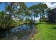 Peaceful creek surrounded by mature trees offering a serene, nature-filled backyard retreat at 13851 Lake Point Dr, Clearwater, FL 33762