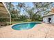 Backyard pool surrounded by a concrete patio, lush greenery and tall mature trees at 14803 Tulip Dr, Tampa, FL 33613