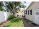 Large tree and gravel path leading to the gate of the fully fenced backyard at 1806 11Th Sw St, Largo, FL 33778