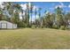 Expansive backyard with green grass, mature trees, and a white storage shed at 19003 Cedar Ln, Lutz, FL 33548
