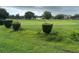 Scenic view of a well-maintained golf course with mature trees and green fairways at 2410 Franciscan Dr # 18, Clearwater, FL 33763