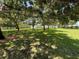Scenic park view showcasing lush greenery and mature trees providing ample shade at 2807 Miriam S St, Gulfport, FL 33711