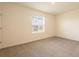 This is a bedroom with carpet flooring and natural light from the window at 33063 Tulip Petal Ln, Wesley Chapel, FL 33545