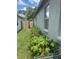 This garden beside the house features a variety of greenery and orange wildflowers at 4436 Horseshoe Pick Ln, Valrico, FL 33594