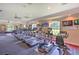 Brightly lit community gym featuring multiple treadmills and elliptical machines along large windows at 5046 Gato Del Sol Cir, Wesley Chapel, FL 33544
