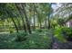 Lush backyard featuring mature trees, ground cover, shrubs and partial lawn area creating a serene atmosphere at 511 Duque Rd, Lutz, FL 33549